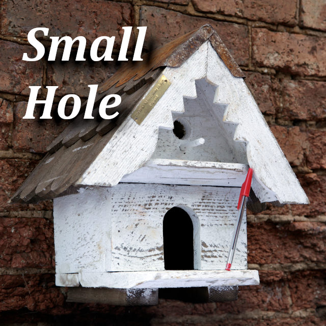 Small Hole