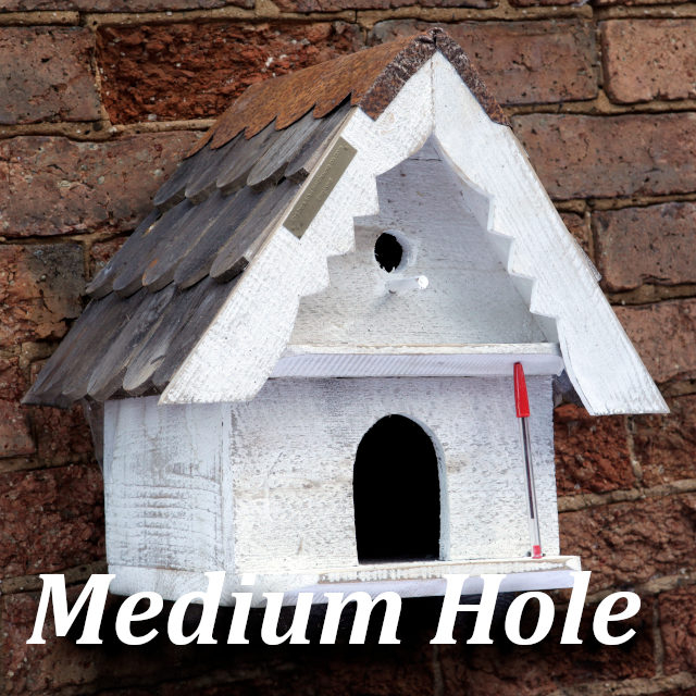 Medium Hole