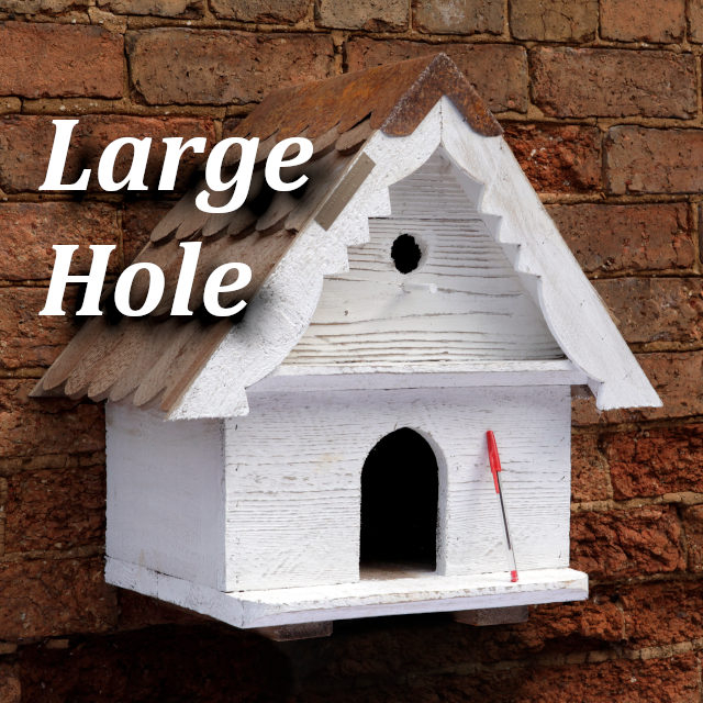 Large Hole