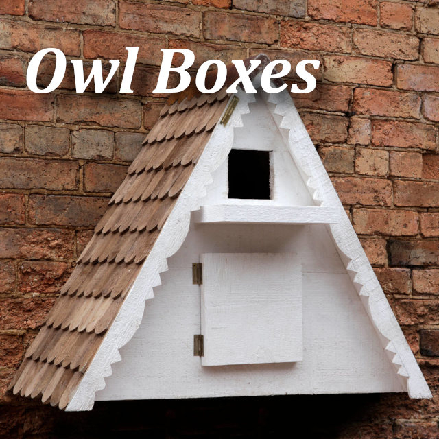 Owl Nest Boxes
